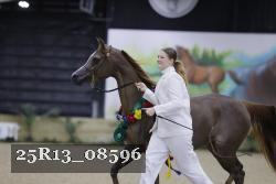25R13_08596 thumbnail