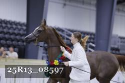 25R13_08597 thumbnail