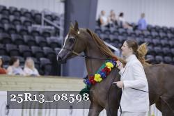 25R13_08598 thumbnail