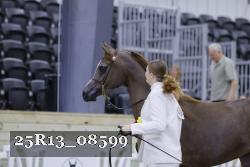 25R13_08599 thumbnail
