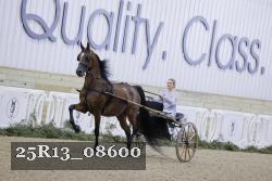 25R13_08600 thumbnail