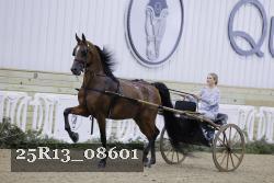 25R13_08601 thumbnail