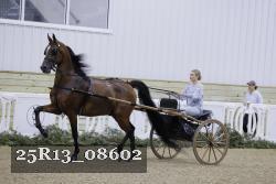 25R13_08602 thumbnail