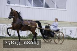 25R13_08603 thumbnail