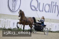 25R13_08604 thumbnail