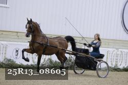 25R13_08605 thumbnail