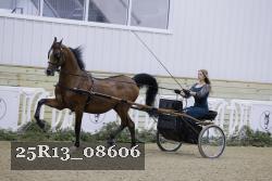 25R13_08606 thumbnail