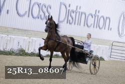 25R13_08607 thumbnail