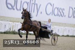 25R13_08608 thumbnail