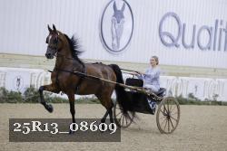 25R13_08609 thumbnail