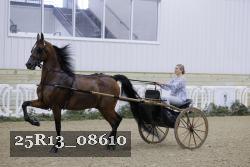25R13_08610 thumbnail