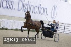 25R13_08611 thumbnail