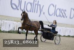 25R13_08612 thumbnail
