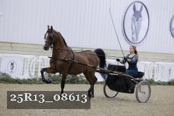 25R13_08613 thumbnail