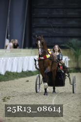 25R13_08614 thumbnail
