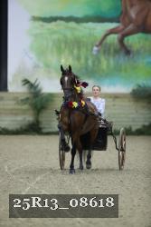 25R13_08618 thumbnail
