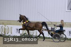 25R13_08620 thumbnail