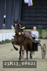 25R13_08621 thumbnail