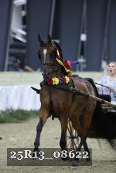 25R13_08622 thumbnail