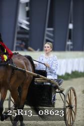 25R13_08623 thumbnail
