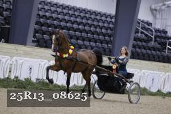 25R13_08625 thumbnail