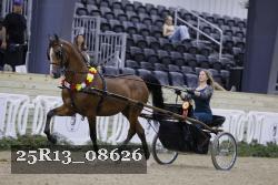 25R13_08626 thumbnail