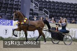 25R13_08627 thumbnail