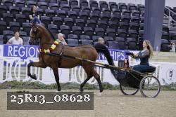 25R13_08628 thumbnail