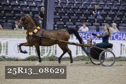 25R13_08629 thumbnail
