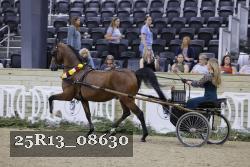 25R13_08630 thumbnail
