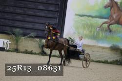 25R13_08631 thumbnail