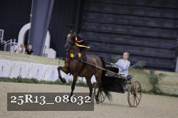 25R13_08632 thumbnail