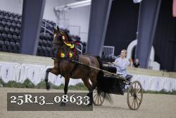 25R13_08633 thumbnail