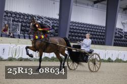 25R13_08634 thumbnail