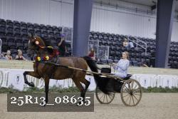 25R13_08635 thumbnail