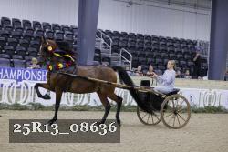 25R13_08636 thumbnail
