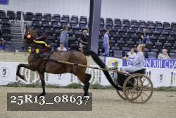 25R13_08637 thumbnail