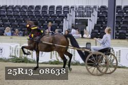 25R13_08638 thumbnail