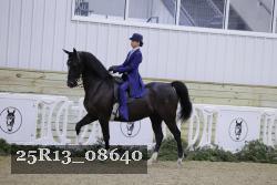 25R13_08640 thumbnail