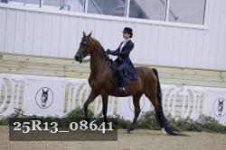 25R13_08641 thumbnail
