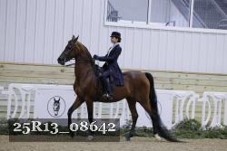 25R13_08642 thumbnail