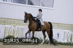 25R13_08644 thumbnail