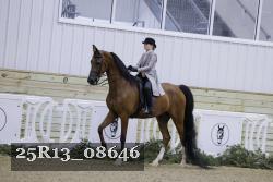25R13_08646 thumbnail