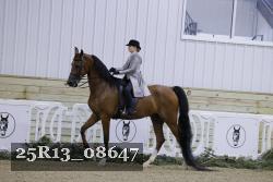 25R13_08647 thumbnail