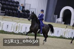 25R13_08650 thumbnail