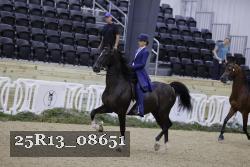 25R13_08651 thumbnail