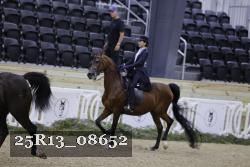 25R13_08652 thumbnail