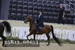 25R13_08653 thumbnail