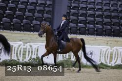 25R13_08654 thumbnail