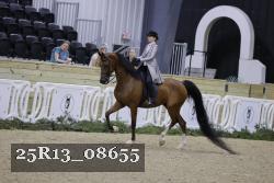 25R13_08655 thumbnail